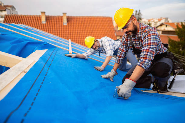 Quick and Trustworthy Emergency Roof Repair Services in Fairview Shores, FL