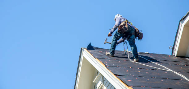 Best Storm Damage Roof Repair  in Fairview Shores, FL